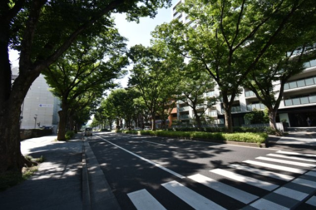 ダイアパレス片平大手門の周辺|青葉通り