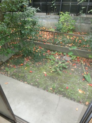 【庭】 | リバティ | リバティ　専用庭