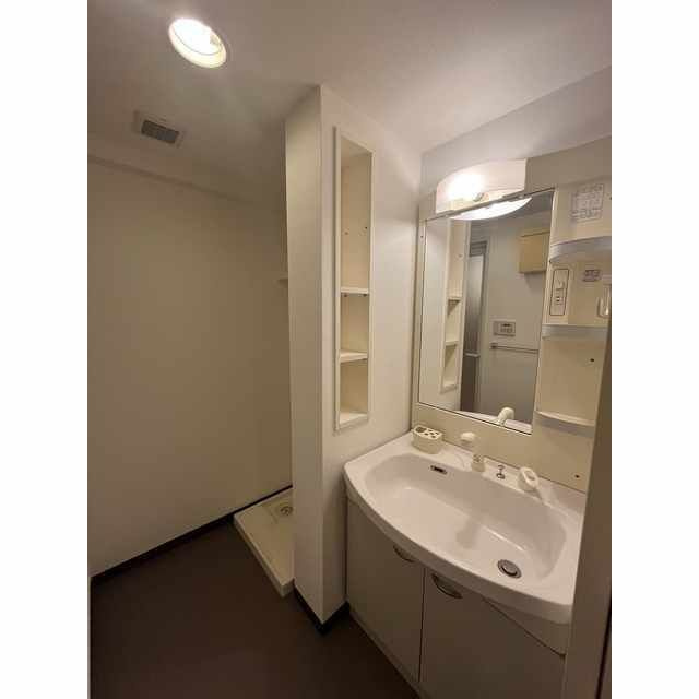 グリューネ白山の独立洗面台