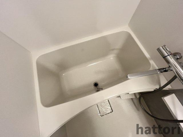 エスリードレジデンス梅田デュオの浴室