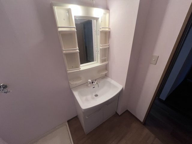 アルパポンテ一番館の洗面所