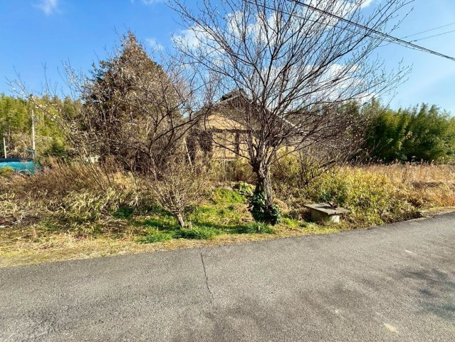 野洲市大篠原　建築条件無し売土地