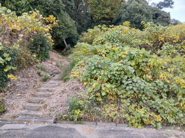 滑川町羽尾　土地2681坪の外観
