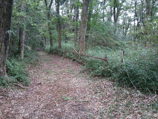 滑川町羽尾　土地2681坪の外観