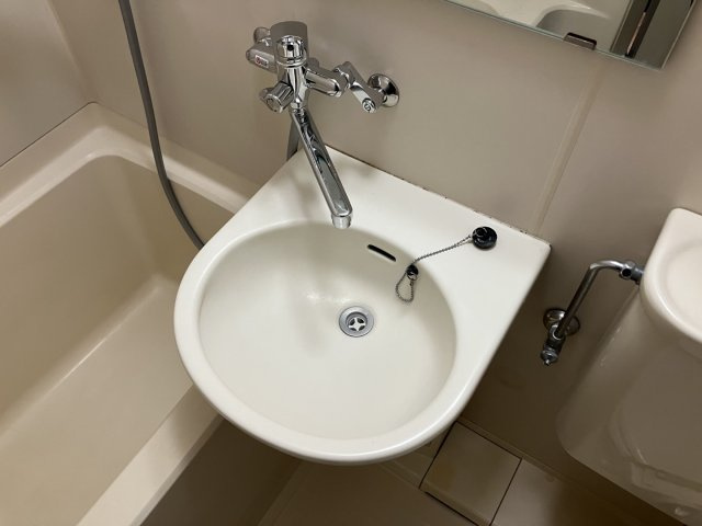 フラット妻田の洗面所