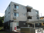 ルミナスゆぎの画像