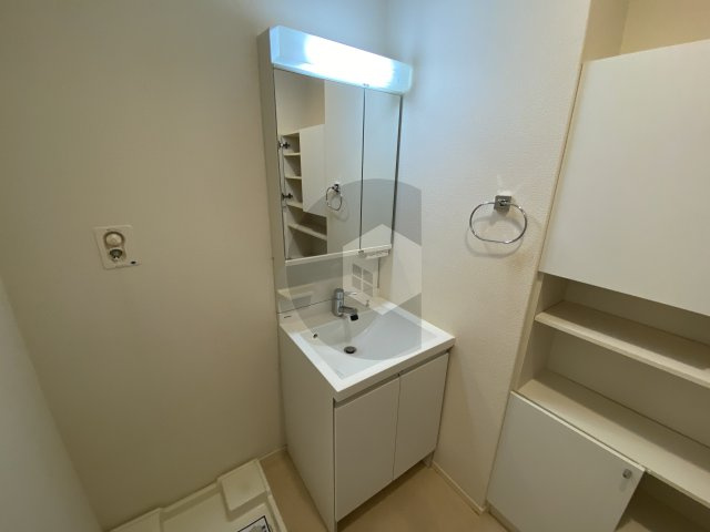 グレイス奥林の独立洗面台