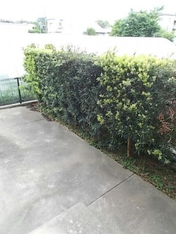 ルミエール坂本Ⅱの庭|簡単な家庭菜園も楽しめるお庭です