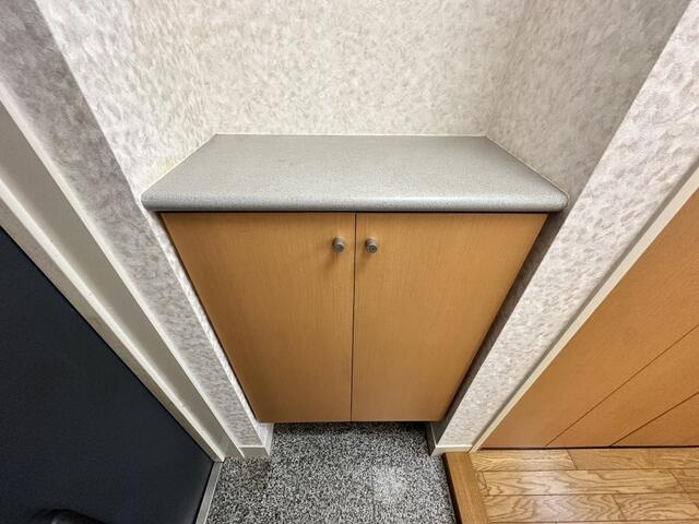 川崎市多摩区中野島３丁目の賃貸マンションの玄関