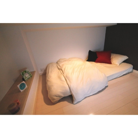 ヒルサイド・アレー千駄木(ヒルサイドアレーセンダギ) の寝室|使用目的色々♪ロフト付です（同一仕様写真）