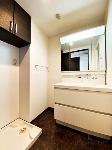 フローラ草平の洗面所