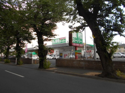  | fraiseⅡ | 業務スーパー常盤平店（1606ｍ）