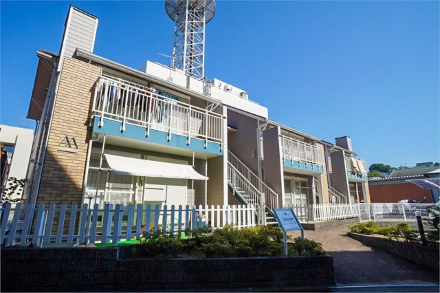 エーデルワイス