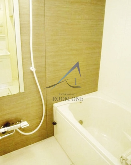 ＲＩＺ大京町の浴室|お風呂です。