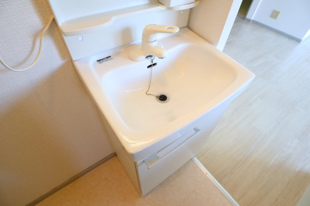 アルファ生駒の洗面所