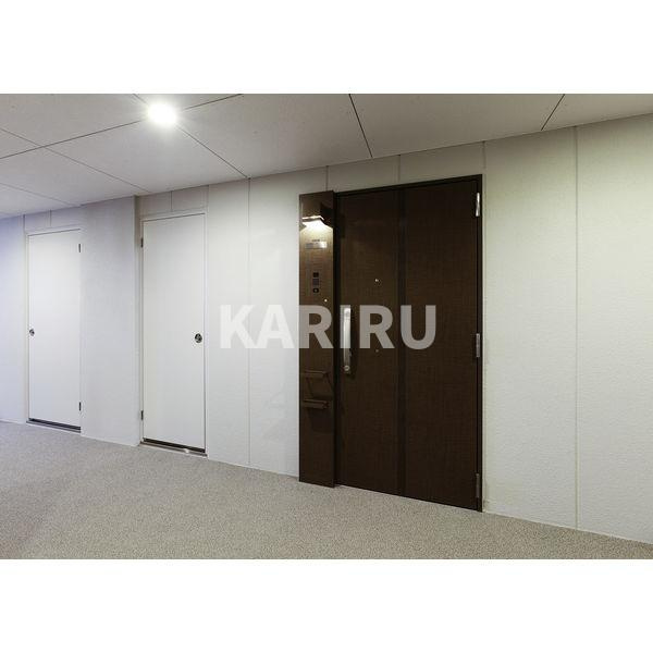 エステムプラザ京橋IIIリベルタのその他