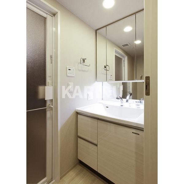 エステムプラザ京橋IIIリベルタの洗面所