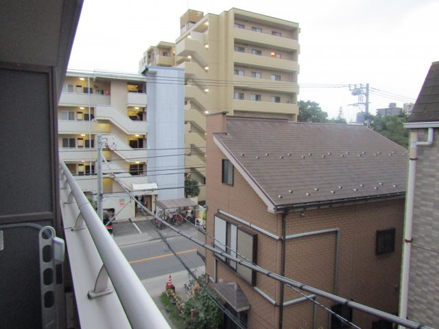 ルミナスの展望