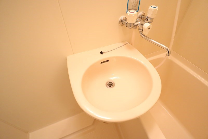 フェリス東生駒の洗面所