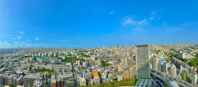 【展望】 | ★仲介手数料無料★クロスエアタワー(高層階につき眺望良好　バルコニーから富士山が望めます）