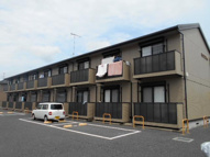 セルリアジョイの画像