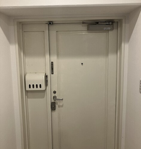 ソフトタウンニュー谷津遊園の玄関|玄関　内装後