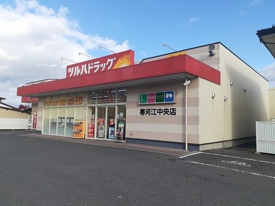 エムズ　プロムナードの周辺|ツルハドラッグまで650m