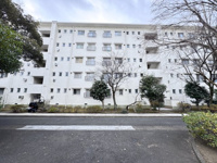たまプラーザ団地３街区６号棟の画像