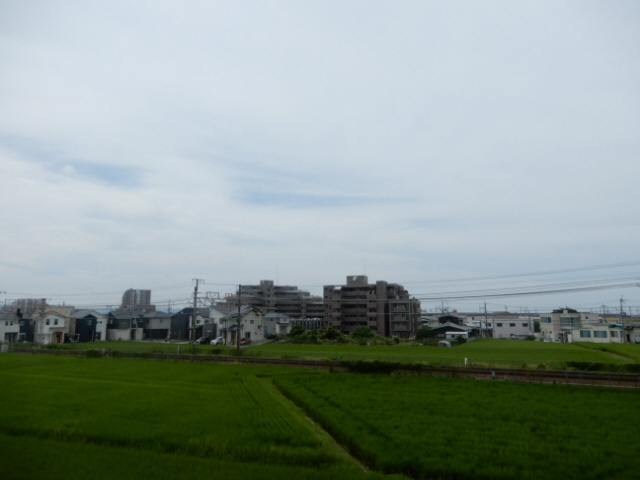 Ｐｕｒｅ　Ａｒｒｏｗの展望