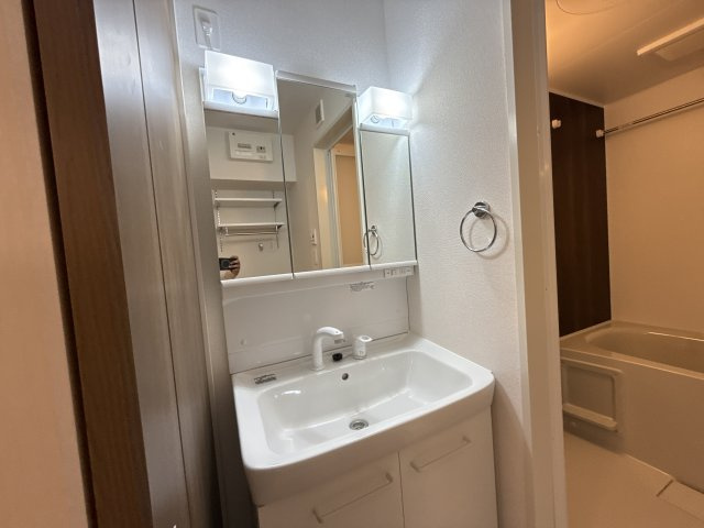 グラムス　レビンの洗面所