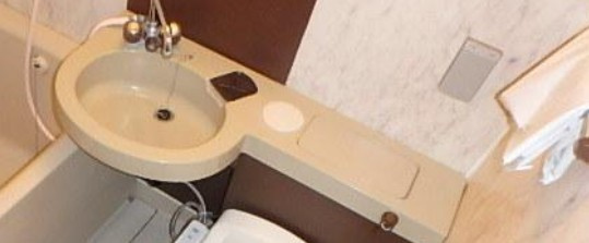 メゾン大塚の洗面所