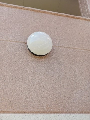 【その他】 | アシュレ・さくら