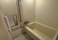 モデリアブリュット南品川の浴室