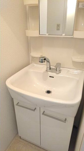 アーリエス原の洗面所