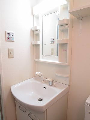 レオーネ亀戸の洗面所