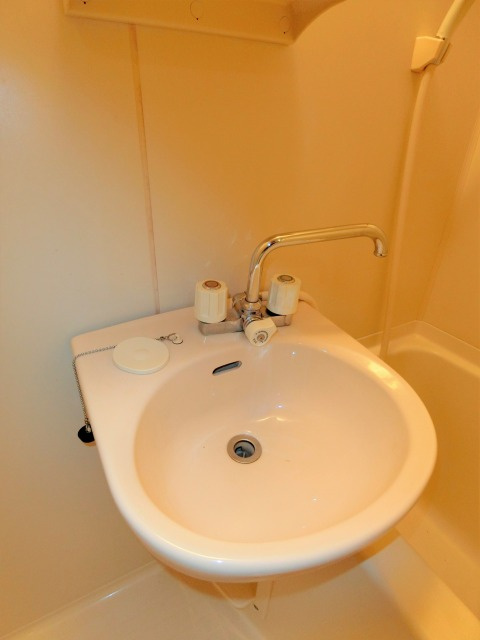 メゾンイストワールの洗面所