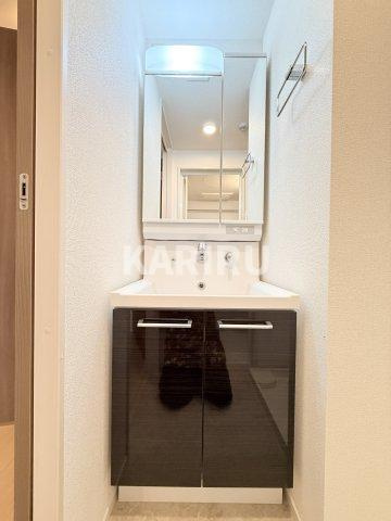 クローバー・レジデンス城東放出の洗面所
