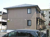 サンピラーの画像