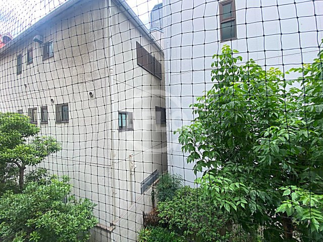 メゾンドール天王寺　天王寺小学校の展望|メゾンドール天王寺　眺望