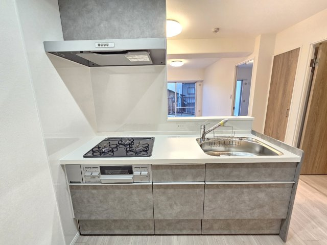 南海住吉清水丘グリーンコートのキッチン|キッチン
