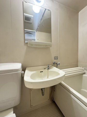 シャトー背戸口の洗面所