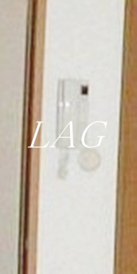 【セキュリティ】 | グラニッシュゲート | インターホンです。
