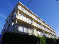 ジュノー・ムカイの画像