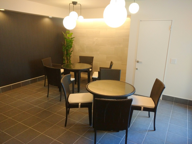 （シニア限定・ペット共生）アルモニーレジダンス氷川台のロビー|談話室