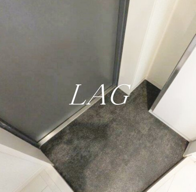 【玄関】 | ブロッサムテラス下丸子 | 玄関(同仕様)です。