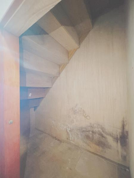 富士市入山瀬の中古一戸建|1階廊下収納 