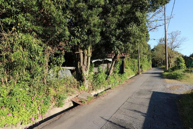 常滑市字高坂の周辺
