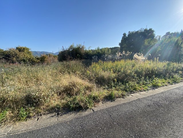 大任売地の前面道路含む現地写真
