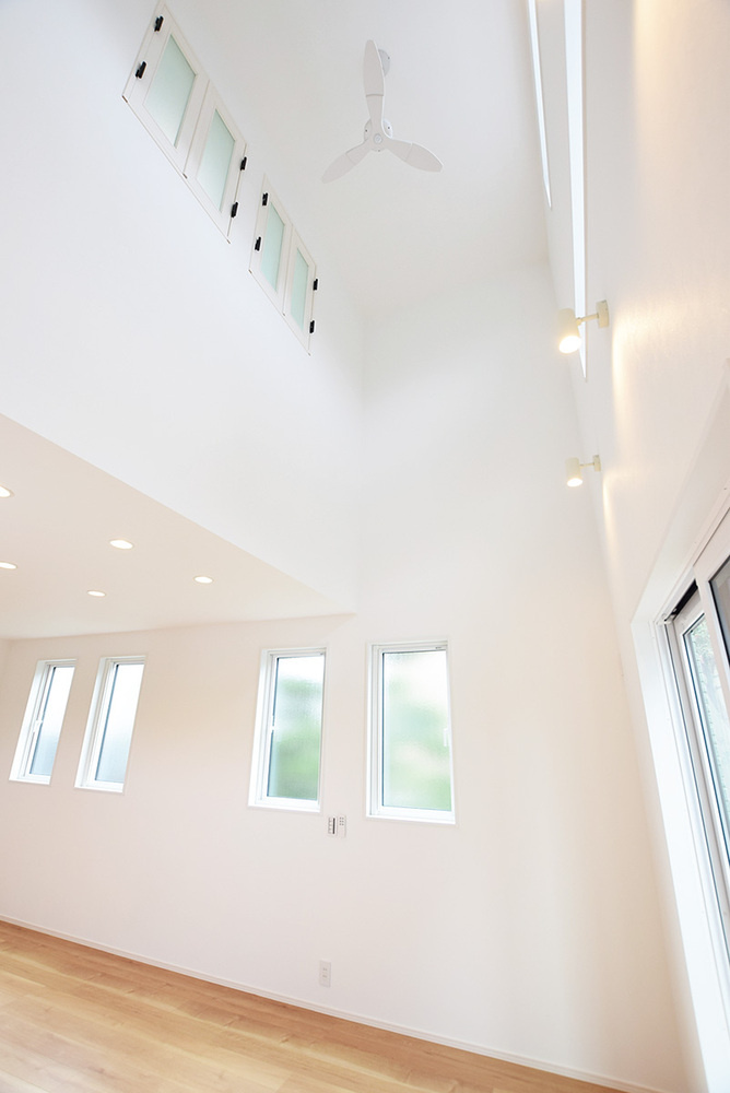 新潟市東区船江町1丁目　A棟の居間・リビング