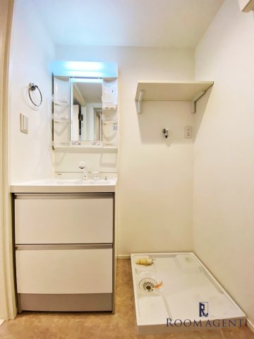 ハーモニーテラス西日置の洗面所